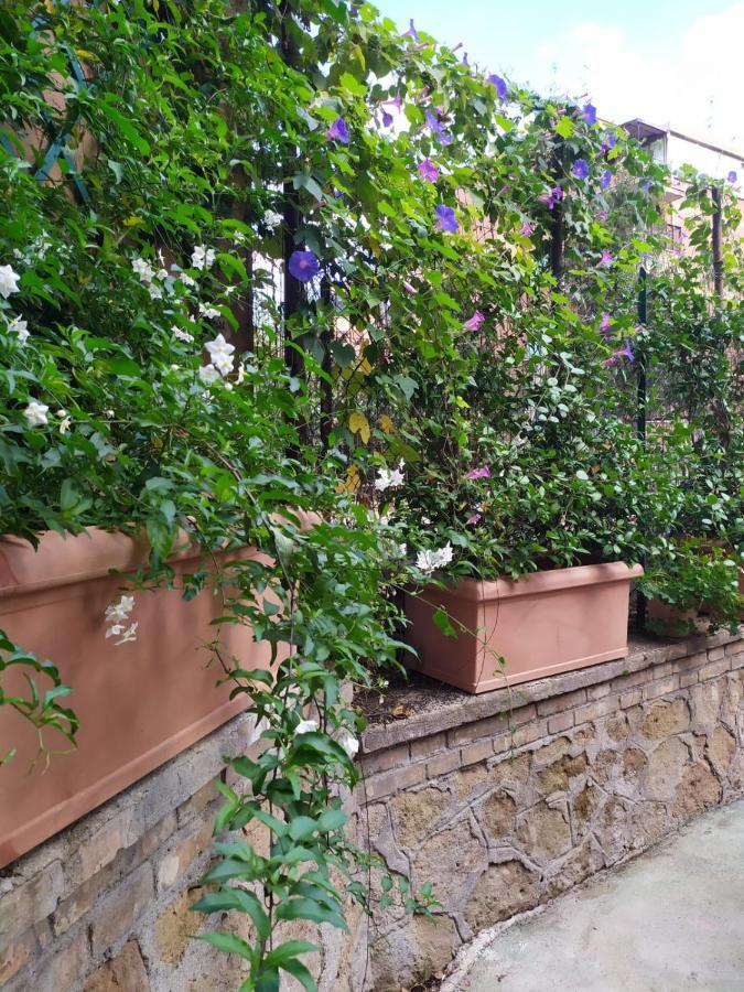 Angolo Sul Giardino 罗马 外观 照片